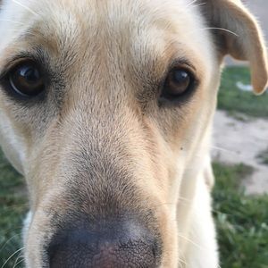 Meet your Posher, Ruby